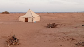 Nomadic experience